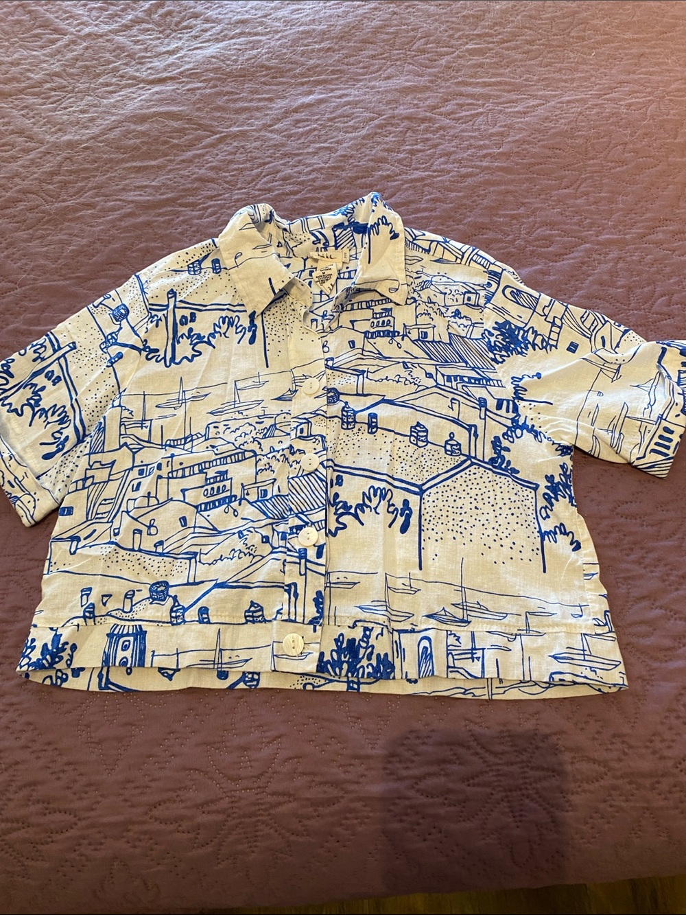 Nicole Miller Cream Button-Up Top with Blue European Sketches